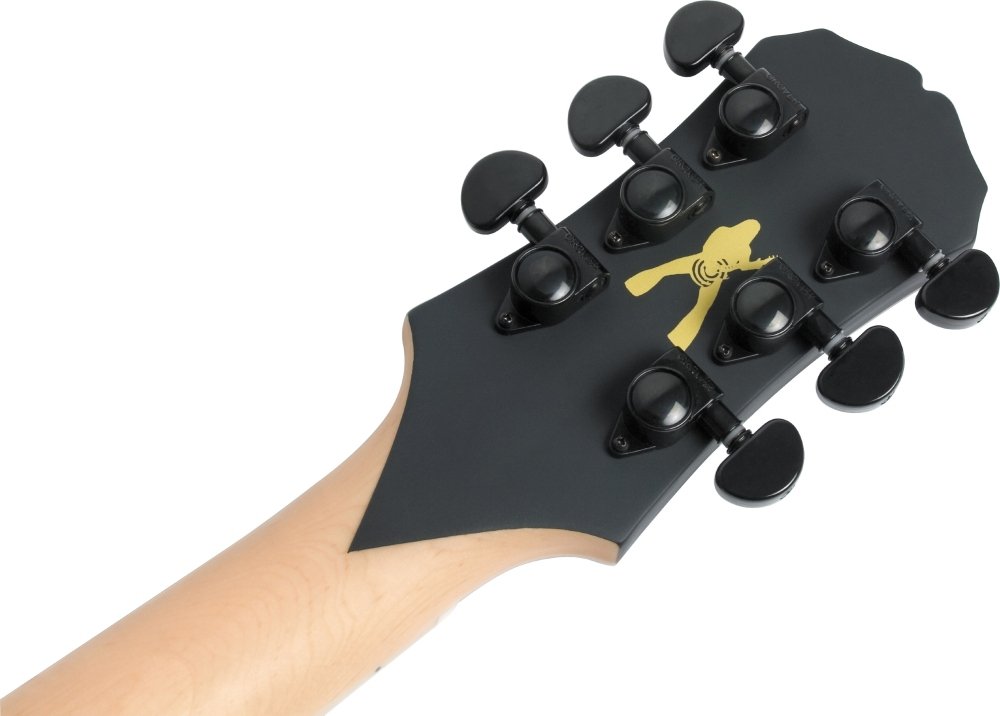Epiphone Zakk Wylde ZV Custom Guitarra eléctrica Ébano : Amazon